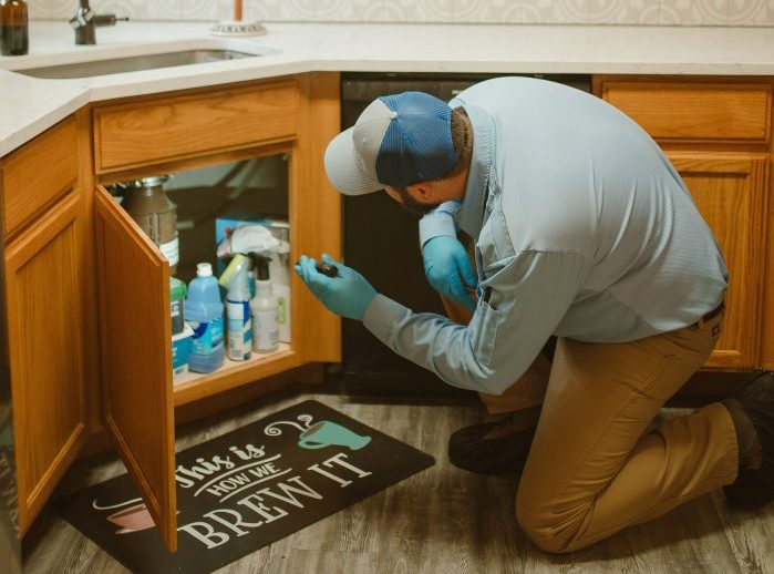 Pest tech inspecting under sink for ants